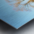 Warm and Cool - fall colors reflected on frozen pond Metal print