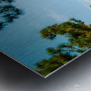 fallwindow Metal print