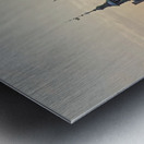 Copenhagen Metal print