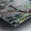 Raintree Metal print