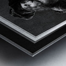 Portret Van Een Bebaarde Man by Pieter Tanje Classical Fine Art Xzendor7 Old Masters Reproductions Metal print