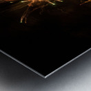 Lets Partay At Parkland Metal print