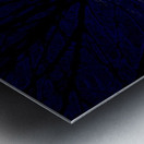 Sunset Branches Metal print