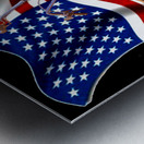 American Chopper Metal print