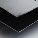 By The Way Metal print