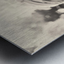 D Metal print