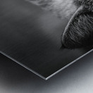 Close to the sunlight Metal print