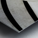 Muse_um Metal print