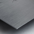 Mist over the lake 2021 Metal print