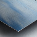 birds at the seaside Metal print