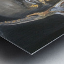 Deep Africa Metal print