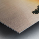 Nature sauvage Metal print