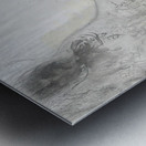 Save the Rhino Metal print