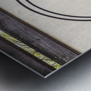 Bonsai Display from the United States National Arboretum Metal print