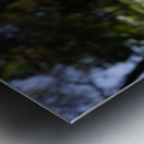 Texas Wildflowers in a Field of green Grass Metal print