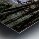 Bridalveil Roaring River Metal print