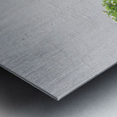 Display of Three Bonsai Trees Metal print