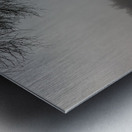 Foggy Morning at Red Bud Isle in Austin  Texas Metal print