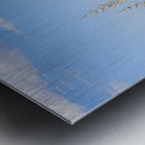 White Sands National Park    Las Cruces  New Mexico Metal print