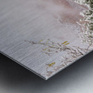 Snow in Sedona  Arizona Metal print