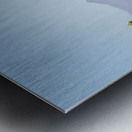 Saguaro National Park Metal print