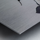 Bird flying over the Mountains in Patagonia Metal print