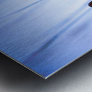 Mexican Hat Metal print