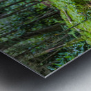 Tranquil Trails Metal print