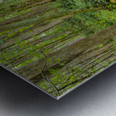 Tranquil stream in the Great Smoky Mountains  Metal print