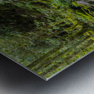 Alone With The Sounds of Running Water in Alum Cave Trail Metal print