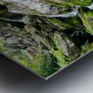 South River Falls Metal print