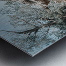 Cacti At Palo Duro Canyon Metal print