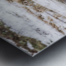 Three Ducks In Winter Metal print