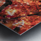 Vibrant Fall Tree Metal print