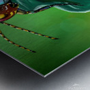 NATURE QUEST  Metal print