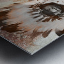 We Come In Peace Metal print