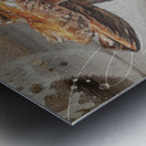 Magic Mushroom Metal print