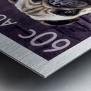 2013 AUSTRALIA Pug Dog Postage Stamp Metal print