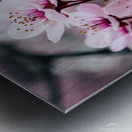 Floral Dream Metal print