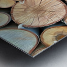 Wood You Like To See Inside Metal print