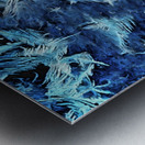 Frosty Morning Metal print