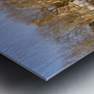 Pont Neuf Metal print