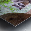 Rocky and family Metal print