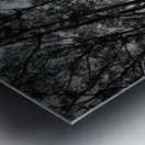 Sutro Peak Metal print