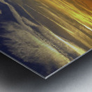 Amelia Island Metal print