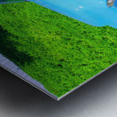 55 Chevy Cameo Metal print