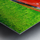 70 SS Chevelle Metal print