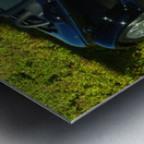 On The Prowl Metal print