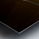 LLF 0591 Metal print