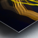 LLF 0600 Metal print